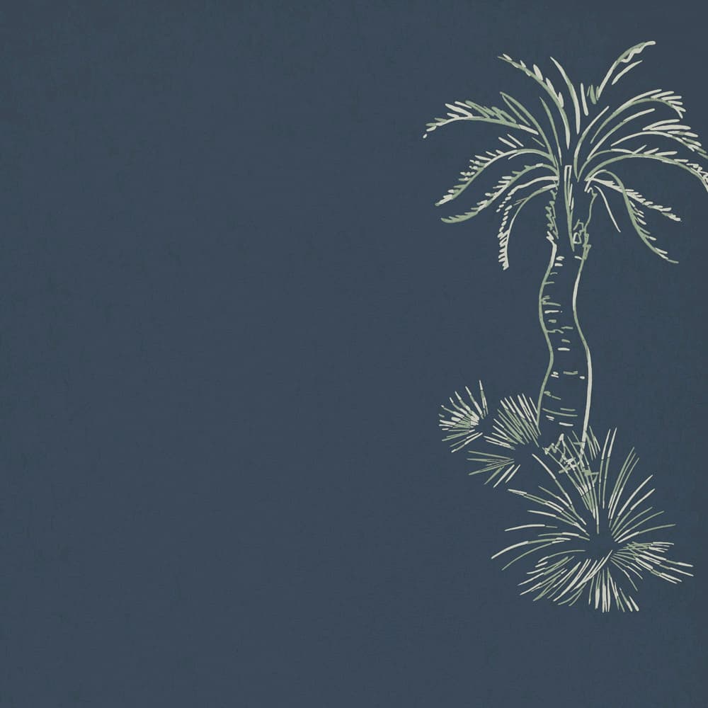 Lighthouse Palm – Blue Pearl