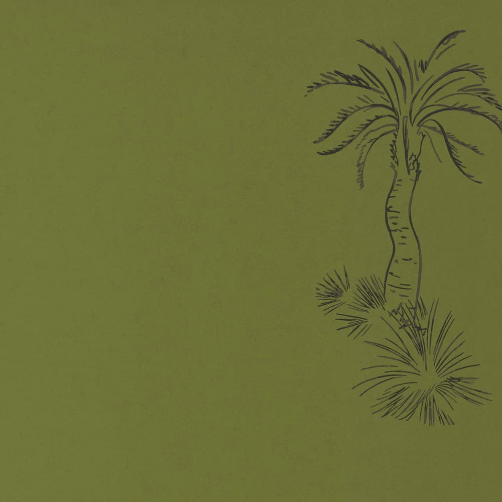 Lighthouse Palm – Chelsea Green