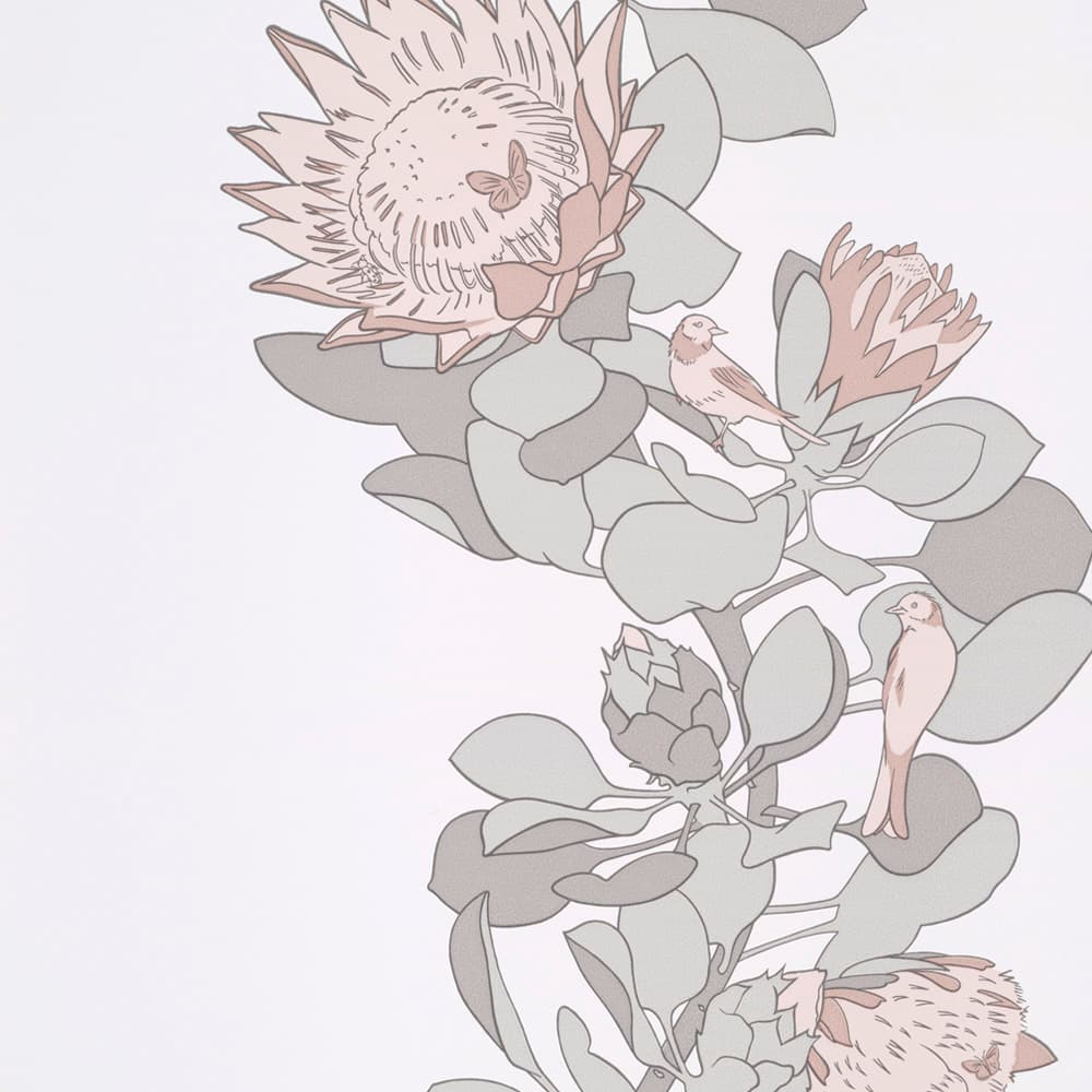 Protea Trail – Salt