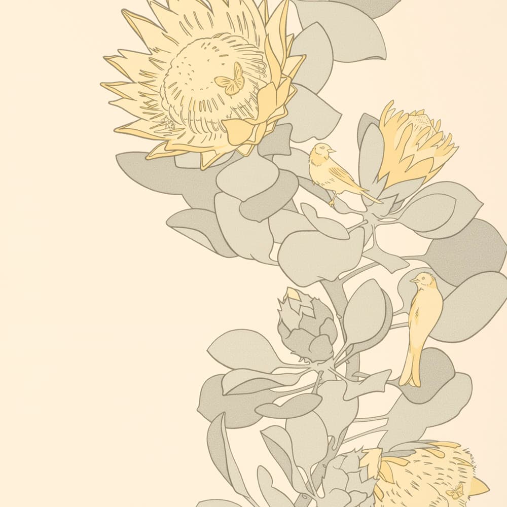 Protea Trail – Clay