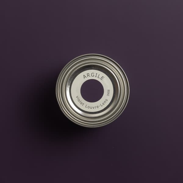 IN08 VIOLET LOUVRE-LENS