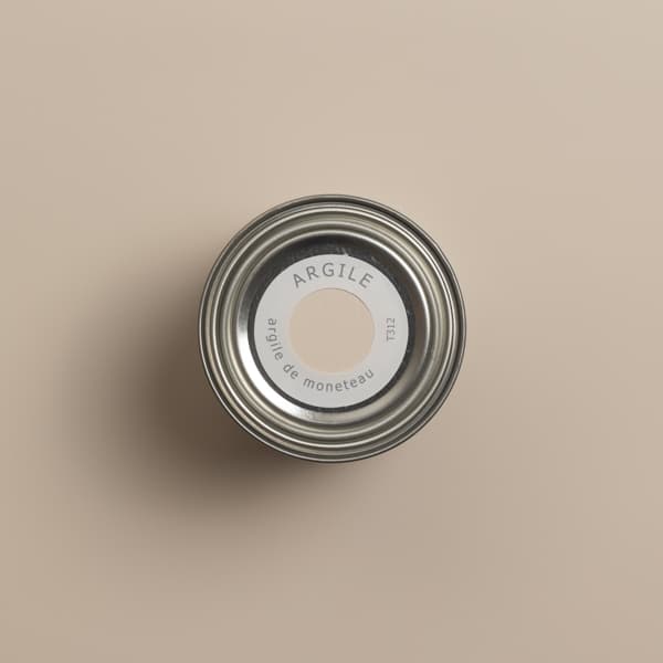 T312 ARGILE DE MONETEAU