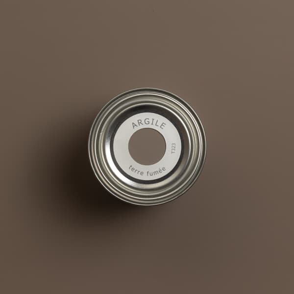 T323 TERRE FUMEE