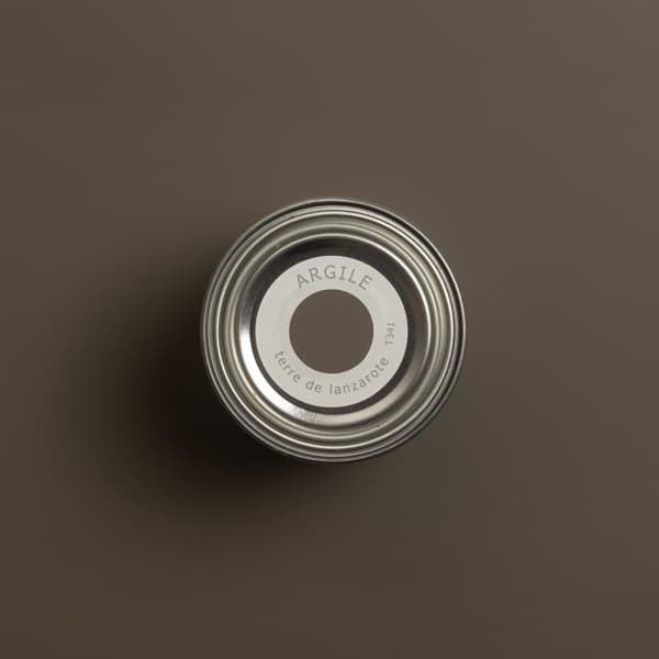 T341 TERRE DE LANZAROTE