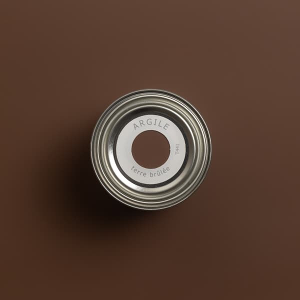 T441 TERRE BRULEE