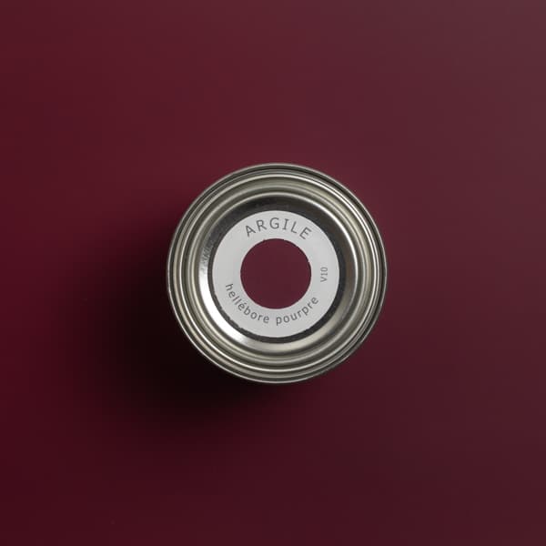 V10 HELLEBORE POURPRE