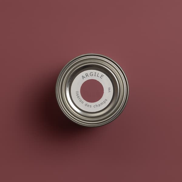 V46 LISERON DES CHAMPS